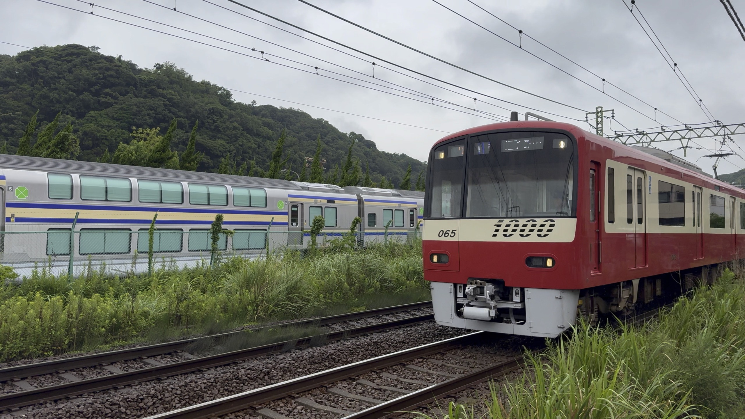 鉄道】2024/7/16 JR東日本横須賀・総武快速線 E235系グリーン車（F-43